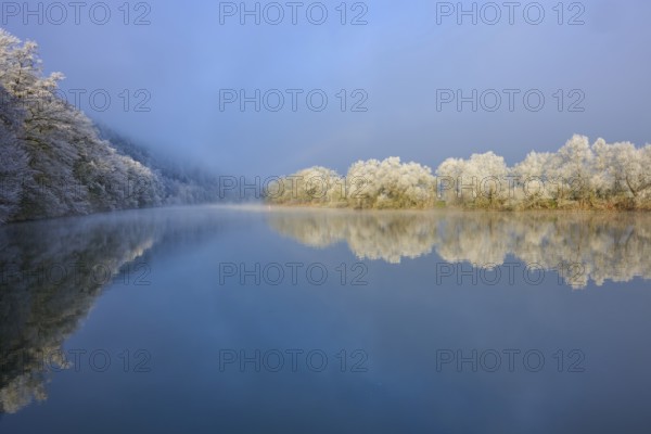 A gentle winter landscape, clear river with frosty, reflecting trees, hoarfrost, winter, Boxtal, Main-Tauber district, Baden-Württemberg, and Stadtprozelten, Dorfprozelten, Main, Spessart, Bavaria, Germany