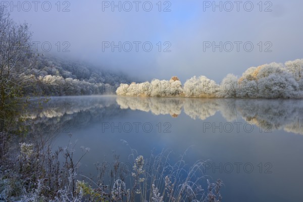A river with snow-white trees that are reflected in the water. Atmospheric, quiet winter landscape, hoarfrost, winter, Boxtal, Main-Tauber district, Baden-Württemberg, and Stadtprozelten, Dorfprozelten, Main, Spessart, Bavaria, Germany