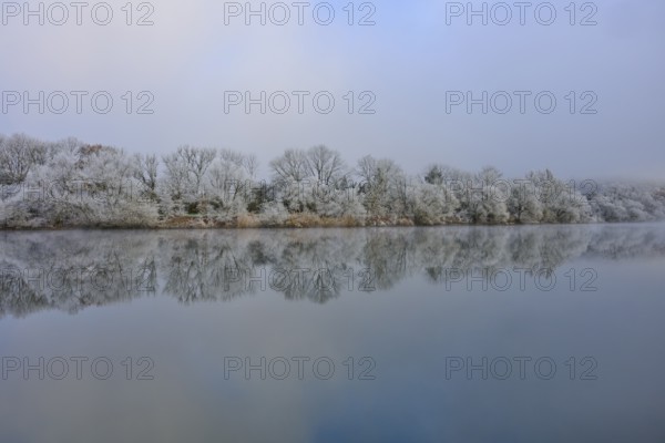 Misty winter landscape with smooth, calm river and snow-covered trees, hoarfrost, winter, Boxtal, Main-Tauber-Kreis, Baden-Württemberg, and Stadtprozelten, Dorfprozelten, Main, Spessart, Bavaria, Germany