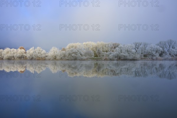 Winter landscape with reflecting trees in a foggy and cloudy river, hoarfrost, winter, Boxtal, Main-Tauber district, Baden-Württemberg, and Stadtprozelten, Dorfprozelten, Main, Spessart, Bavaria, Germany