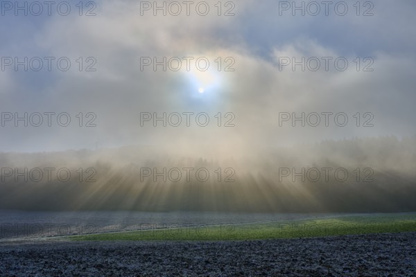 Morning fog over a field with bright sunlight, hoarfrost, winter, Urphar, Main-Tauber district, Baden-Württemberg, Germany
