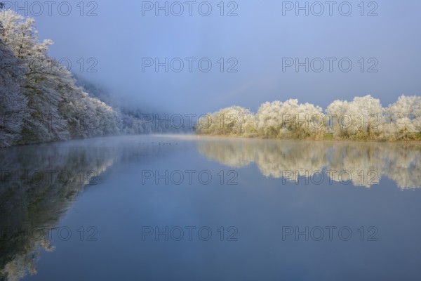 Cool winter atmosphere with snow-white tree reflections in still water, hoarfrost, winter, Boxtal, Main-Tauber district, Baden-Württemberg, and Stadtprozelten, Dorfprozelten, Main, Spessart, Bavaria, Germany