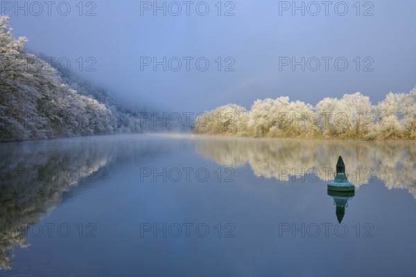 A green buoy on calm water, surrounded by snowy, reflecting trees, hoarfrost, winter, Boxtal, Main-Tauber district, Baden-Württemberg, and Stadtprozelten, Dorfprozelten, Main, Spessart, Bavaria, Germany