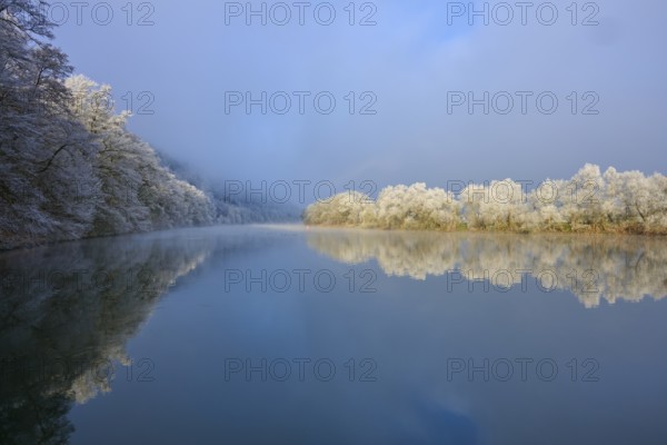 White trees are reflected in the river, which lies in peaceful winter rest under a blue sky, hoarfrost, winter, Boxtal, Main-Tauber district, Baden-Württemberg, and Stadtprozelten, Dorfprozelten, Main, Spessart, Bavaria, Germany
