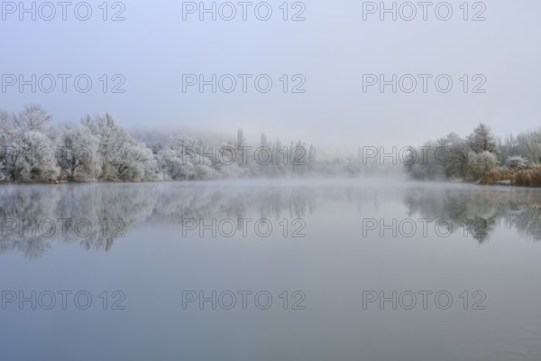 Foggy winter scenery with snow-covered trees reflected in a quiet river, hoarfrost, winter, Boxtal, Main-Tauber district, Baden-Württemberg, and Stadtprozelten, Dorfprozelten, Main, Spessart, Bavaria, Germany