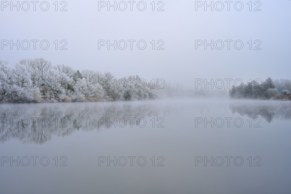 Thick fog surrounds a quiet river with snowy, reflecting trees, hoarfrost, winter, Boxtal, Main-Tauber district, Baden-Württemberg, and Stadtprozelten, Dorfprozelten, Main, Spessart, Bavaria, Germany