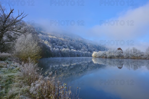 Winter river with frozen bank and fog over trees, clear atmosphere, hoarfrost, winter, Boxtal, Main-Tauber district, Baden-Württemberg, and Stadtprozelten, Dorfprozelten, Main, Spessart, Bavaria, Germany