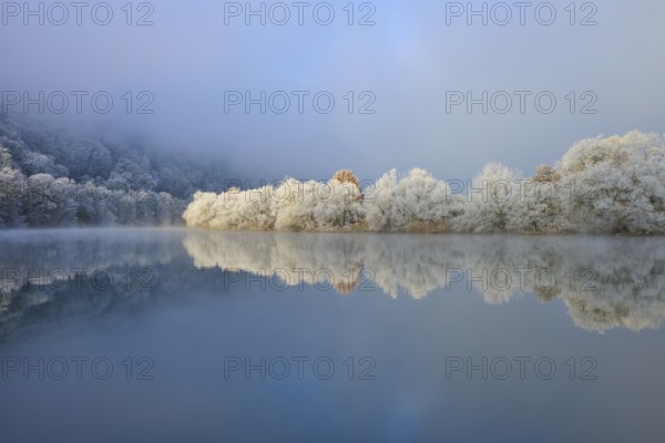 Snowy trees on the river with fog and cool winter atmosphere, hoarfrost, winter, Boxtal, Main-Tauber-Kreis, Baden-Württemberg, and Stadtprozelten, Dorfprozelten, Main, Spessart, Bavaria, Germany