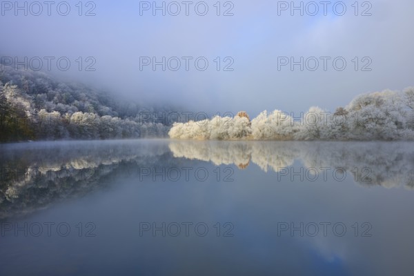 Snowy trees are reflected in the quiet river, surrounded by foggy, overcast sky, hoarfrost, winter, Boxtal, Main-Tauber district, Baden-Württemberg, and Stadtprozelten, Dorfprozelten, Main, Spessart, Bavaria, Germany