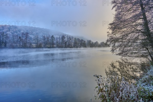 Wintery morning at the water with frosty trees and fog in a peaceful atmosphere, hoarfrost, winter, Collenberg, Main, Maintal, Spessart, Bavaria, Germany