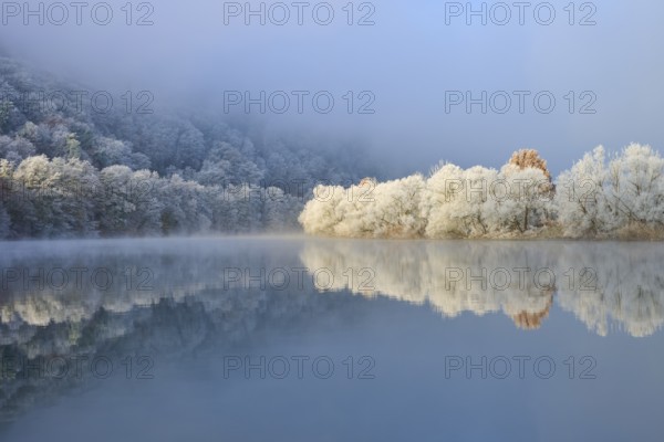A calm river in winter reflects forests and trees covered in fog, hoarfrost, winter, Boxtal, Main-Tauber district, Baden-Württemberg, and Stadtprozelten, Dorfprozelten, Main, Spessart, Bavaria, Germany