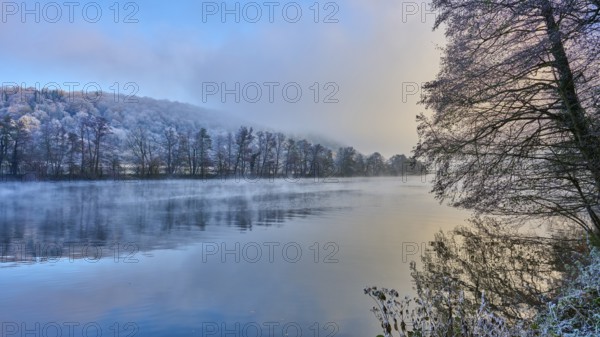 The river in a foggy winter landscape at sunrise with frosty trees and calm water, hoarfrost, winter, Collenberg, Main, Maintal, Spessart, Bavaria, Germany