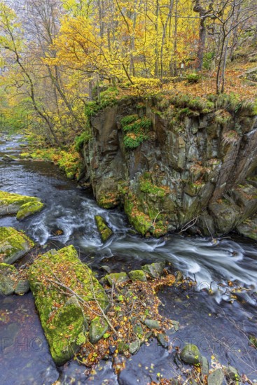 River Bode running through forest showing autumn colours, fall colors at Nature reserve Bode Valley in the Harz Mountains, Saxony-Anhalt, Germany