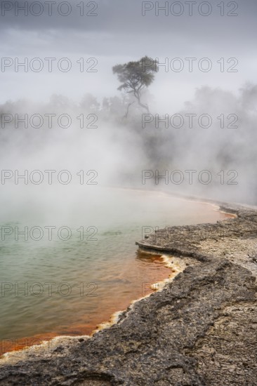 The champagne pool in the Waiotapu geothermal area (Wai-O-Tapu) . Waiotapu, Waikato, North Island, New Zealand