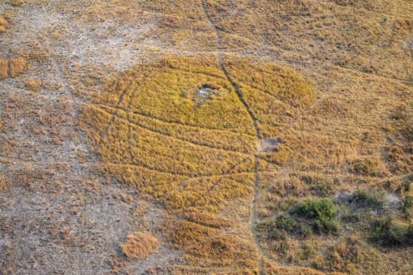 Paths, trails in the countryside, animal trails Aerial view of the Okavango Delta, near Maun, Okavango Delta, Botswana