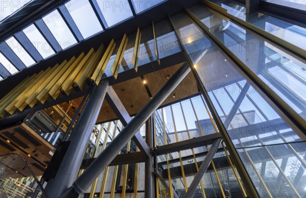 Auckland skyline and financial downtown city center