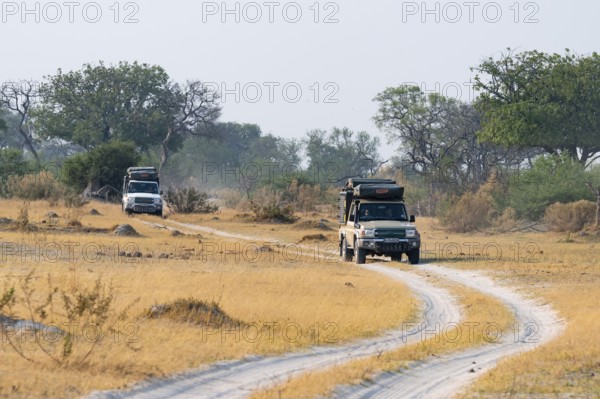 Off-road car, safari car driving on dust road, Third Bridge, Okavango Delta, Moremi Game Reserve, Botswana