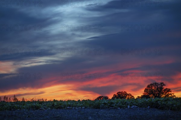 Red blue evening sky, Othenstorf, Mecklenburg-Western Pomerania, Germany