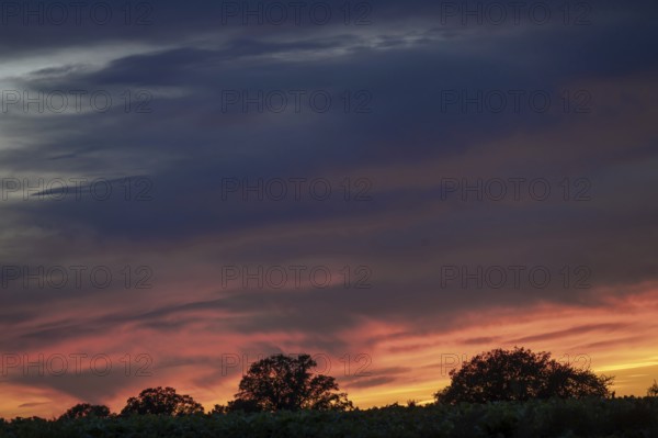 Red evening sky, Othenstorf, Mecklenburg-Western Pomerania, Germany