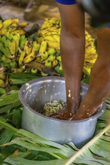 Local man, production of banana juice and banana schnapps, banana plantation, near Fort Portal, Uganda