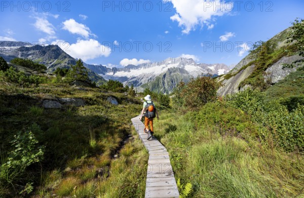 Mountaineers on wooden plank trail through mountain moor, in front of picturesque mountain scenery, Dammastock and Damma glaciers, Göscheneralp, Canton of Uri, Switzerland