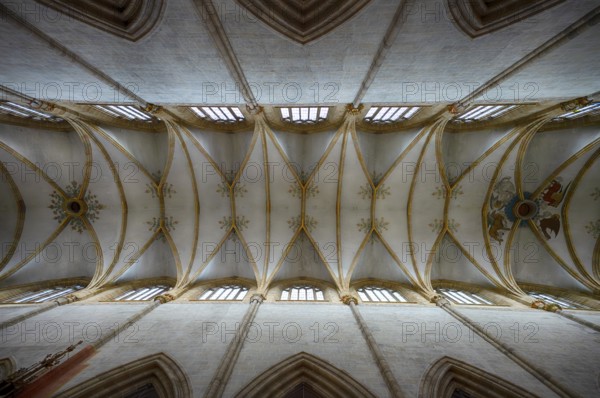 Interior photo, vaulted ceiling, church ceiling, central nave, interior view, Cathedral of Our Lady in Ulm, Ulm Münster, Ulm, Baden-Württemberg, Germany