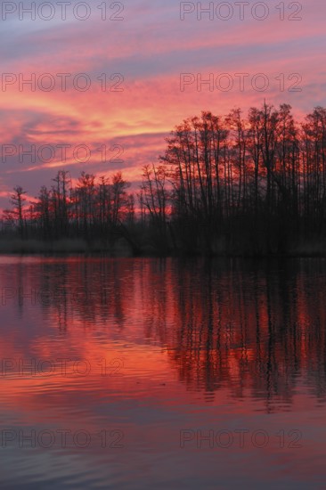 Intense red sunset over a quiet river with trees, Peenetal nature park Park, Mecklenburg-Western Pomerania, Germany