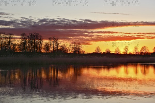 Peaceful sunset with orange sky and reflection of trees in water, Peenetal nature park Park, Mecklenburg-Western Pomerania, Germany