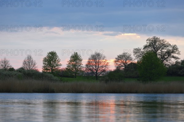 Evening sky over a river with trees and reflecting water, light cloud cover, Peenetal nature park Park, Mecklenburg-Western Pomerania, Germany