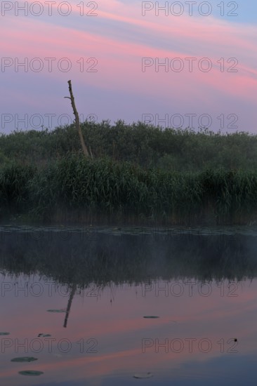 Pink and blue sky reflected peacefully in the water, Peenetal nature park Park, Mecklenburg-Western Pomerania, Germany