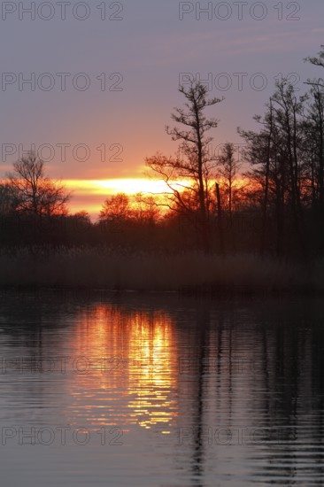 Sunset over a quiet river with silhouette of trees, Peenetal nature park Park, Mecklenburg-Western Pomerania, Germany