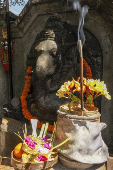 Flowers arranged for beautiful offerings in front of a Ganesha figure, Bali, Indonesia