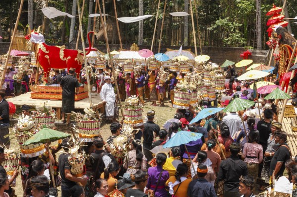 Preparing for a corpse cremation, (Ngaben), Ubud, Bali, Indonesia