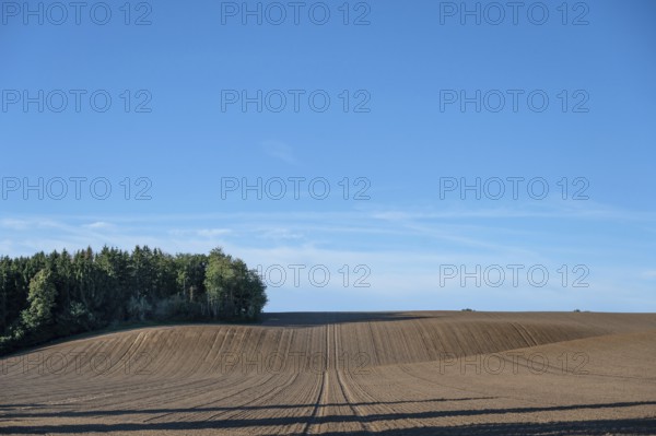 Ordered, large arable area, Mecklenburg-Western Pomerania, Germany