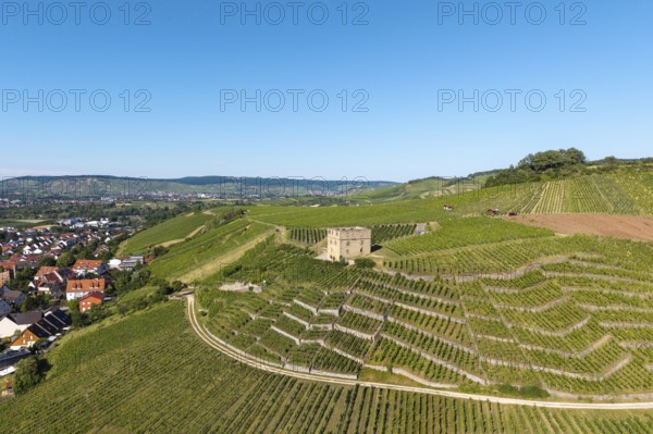 Vineyards with a stone house, on the edge of a village, in a summer landscape, Y-Burg, Stetten im Remstal, Baden-Württemberg, Germany