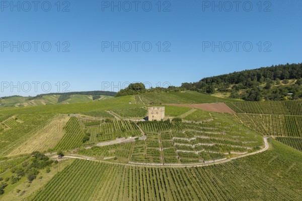 Old building surrounded by vineyards with wooded hills in the background, Y-Burg, Stetten im Remstal, Baden-Württemberg, Germany