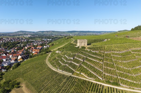 Vineyard landscape with a stone house, bordering a village and hills, Y-Burg, Stetten im Remstal, Baden-Württemberg, Germany