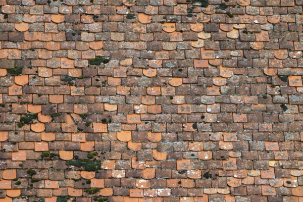 Clay tile roof, Herberstein Castle, Herberstein, Styria, Austria