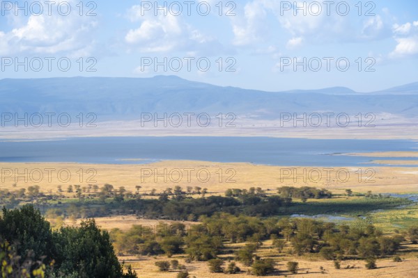 View of savanna landscape and lakes in the Ngorongoro Crater from the crater rim in the evening light, Ngorongoro Conservation Area, Tanzania