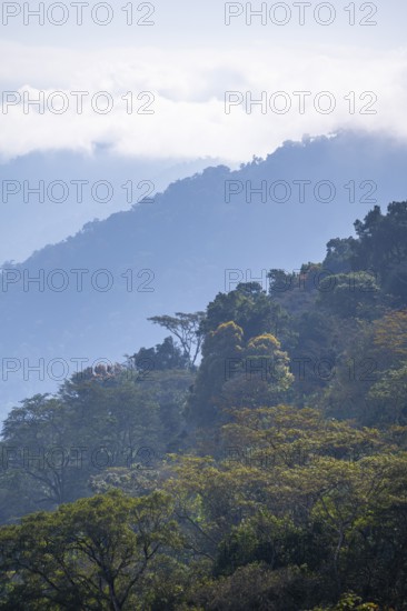View of Ngorongoro Crater, Crater Viewpoint, mountain slopes with forest, Ngorongoro Conservation Area, Tanzania