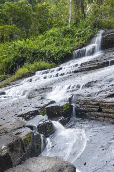 Derema Waterfall flows through thick vegetation, tropical rainforest in Amani Nature Forest Reserve, long exposure, Eastern Usambara Mountains, Tanga, Tanzania