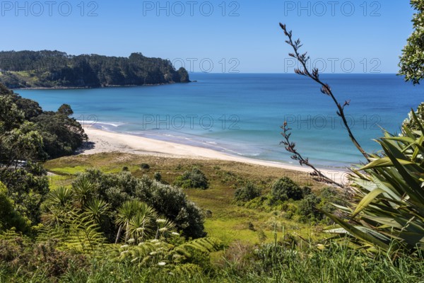 Landscape with sea and sandy beach in New Zealand. View of Hot Water Beach. Hot Water Beach, Coromandel Peninsula, Waikato, New Zealand