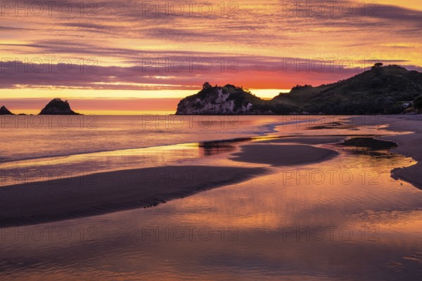 Landscape with sea and sandy beach in New Zealand. Hahei Beach with Te Pare Point in the morning at sunrise. On the left, the rock of Te Karaka Island. Colored clouds. Hahei, Coromandel Peninsula, Waikato, New Zealand