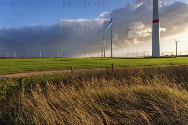 Bedburg A 44n onshore wind farm, on the A44 motorway near Bedburg, in front of the Jackerath triangle, recultivated open-cast mining site, Garzweiler open-cast lignite mine, operated by RWE and the city of Bedburg, North Rhine-Westphalia, Germany