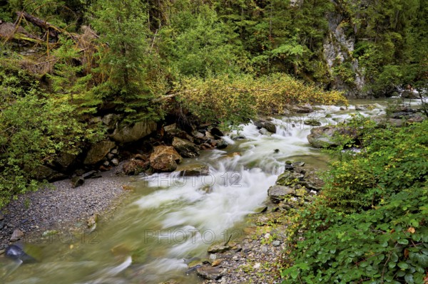 Diosaz mountain river in the gorge, Gorges de la Diosaz, Les Houches, Chamonix-Mont-Blanc, Haute-Savoie, France