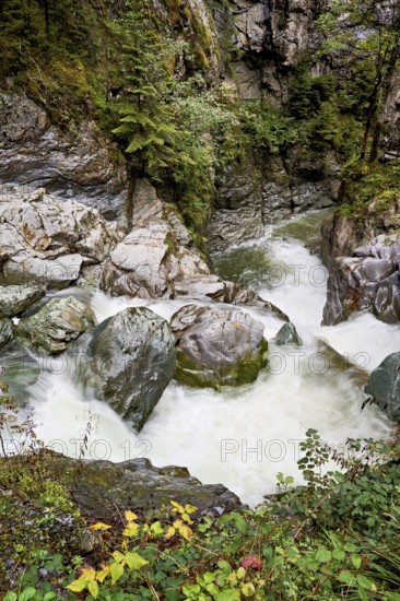 Diosaz mountain river in the gorge, Gorges de la Diosaz, Les Houches, Chamonix-Mont-Blanc, Haute-Savoie, France