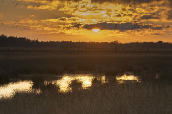 Moorland landscape at sunset, Emsland, Lower Saxony, Germany