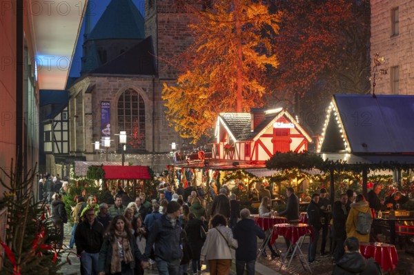 Christmas market in Essen, gastronomy, fire forest, at Essen Cathedral, Kettwiger Straße shopping street, pedestrian zone, full, lots of people shopping, Christmas lights, Christmas market stalls, Essen Light Weeks, Essen, North Rhine-Westphalia, Germany