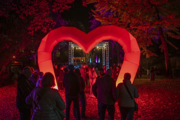 Light art, light installation, illuminated sculptures in the city garden of the city of Radolfzell am Lake Constance, as part of the Radolfzell Lichtblicke event and art campaign, supported by the Ministry of Labour, Economy and Tourism Baden-Württemberg, Konstanz district, Baden-Württemberg, Germany