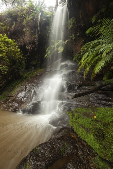 Rainy day reveals lush nature at hidden waterfall in the Blue Mountains, New South Wales, Australia